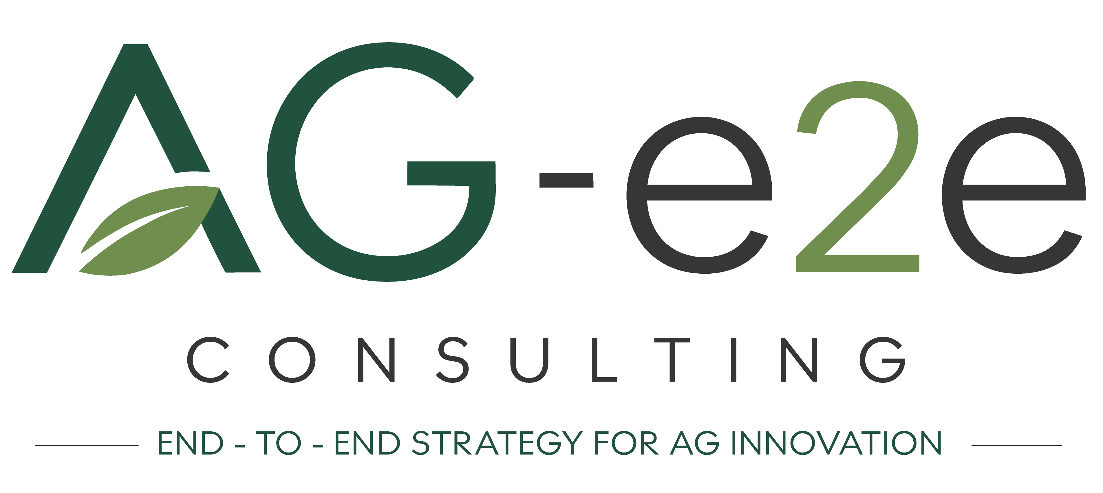 AG-e2e Consulting